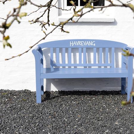 Havrevang, Ferielejligheder Lønstrup Zewnętrze zdjęcie